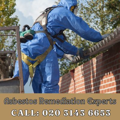 Asbestos Remediation Experts Goffs Oak