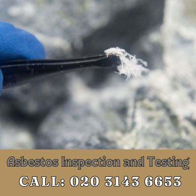 Comprehensive Asbestos Inspection and Testing Services in Goffs Oak